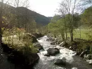 Ruscello