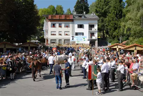 La sagra del Raschera