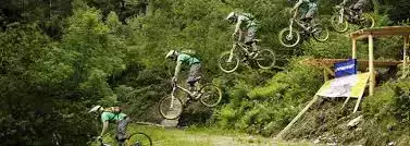 Motociclette