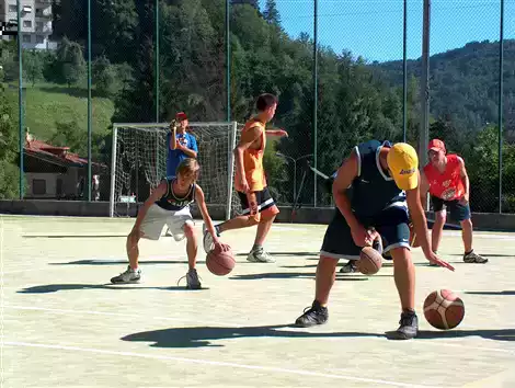 Sport